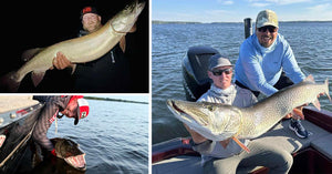 Squealin’ Baits - Tagged Giants - 50s for Heroes