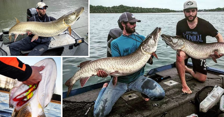 Stuff Only Musky Anglers Understand – Dahlberg Tips – Sweet Baits