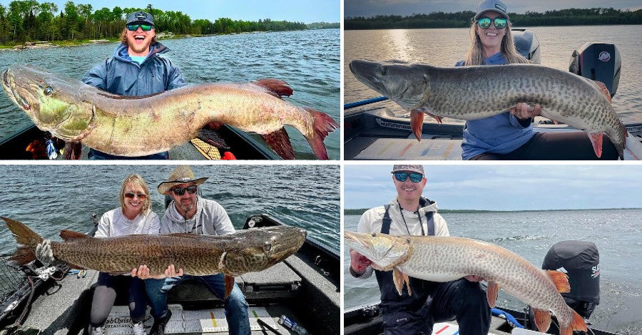 Stocking Study - Open Water Tips - Bachelor Party 'Skies – Musky Insider