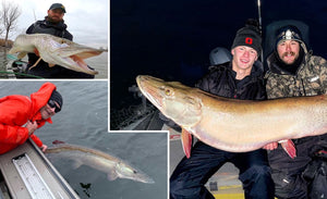 Sweet Metro Musky Content – Dreaming About 'skies – Big Fall Muskies