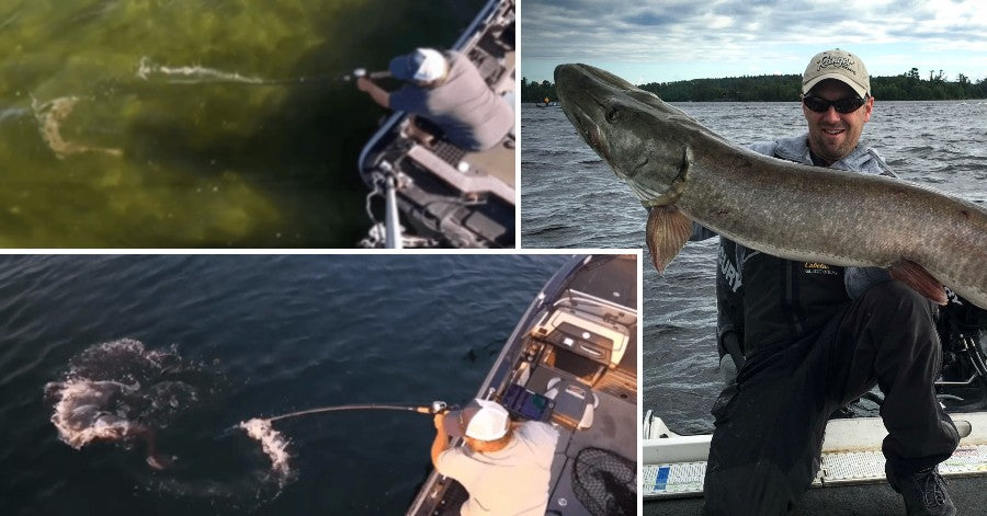Musky Figure 8 Tips & Strategies for Success