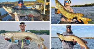 New MN Plan - Catch Your Moment - Monster Muskies