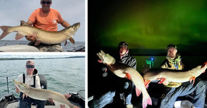 Tough Day Tips - Tourney Results - MN DNR Survey Summary