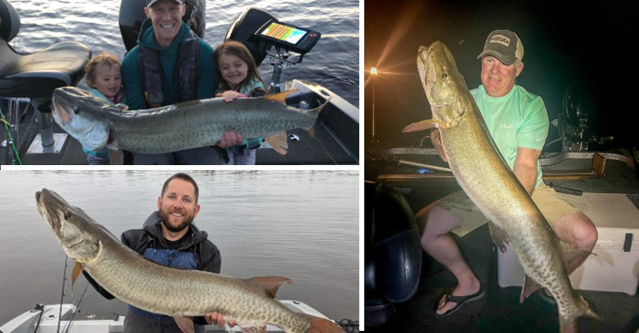 Tourney Winning Patterns - Musky Tumors - Boatside Topwater Strike