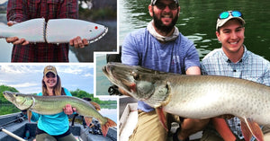 Ty Sennett Spring Tips – $1000+ Swimbait – Jim Saric Chimes In