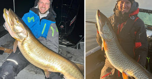 Vulnerable Muskies = 👇 – Casting off Wrong Side – Ugly Muskies