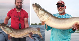 Why ''Sound'' Matters – Esox Stomach Find – Some Sweet GIFs