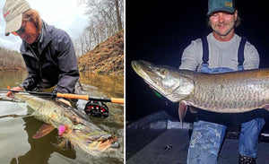 Wintertime Muskies – Musky Barrage on Big V – Big Fish Holds