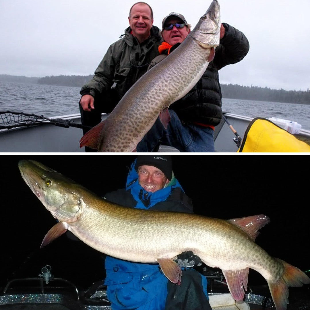 Fall Musky Virtual Musky Classes – Musky Insider